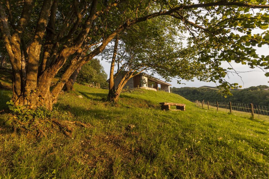 Cabanas Deluxe Basajaun Basoa By Irrisarri Land Igantzi Pokoj fotografie